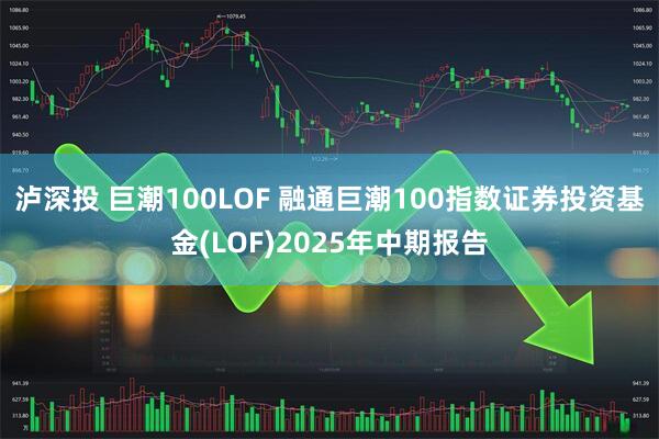 泸深投 巨潮100LOF 融通巨潮100指数证券投资基金(LOF)2025年中期报告