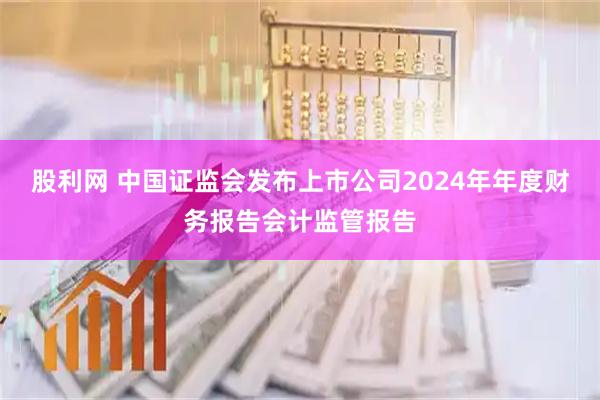 股利网 中国证监会发布上市公司2024年年度财务报告会计监管报告