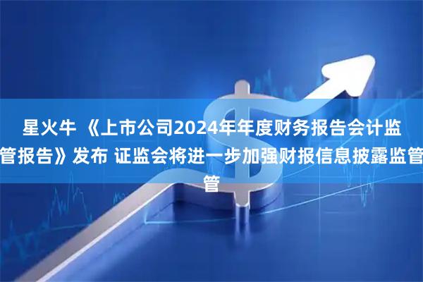 星火牛 《上市公司2024年年度财务报告会计监管报告》发布 证监会将进一步加强财报信息披露监管