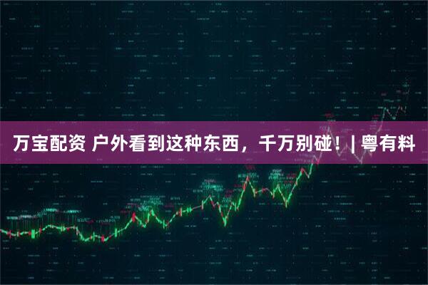 万宝配资 户外看到这种东西，千万别碰！| 粤有料