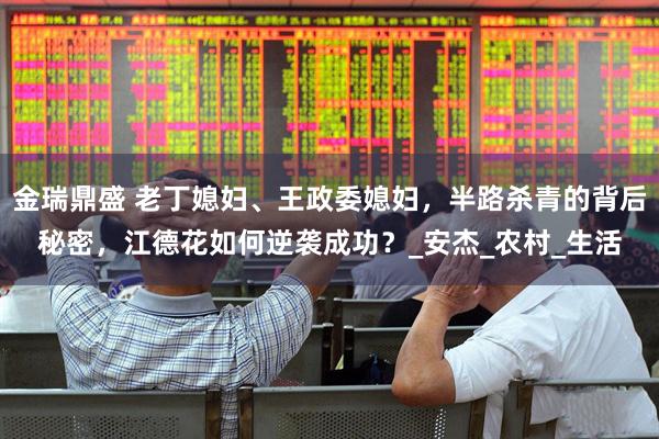 金瑞鼎盛 老丁媳妇、王政委媳妇，半路杀青的背后秘密，江德花如何逆袭成功？_安杰_农村_生活