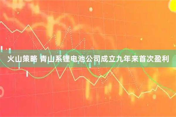 火山策略 青山系锂电池公司成立九年来首次盈利