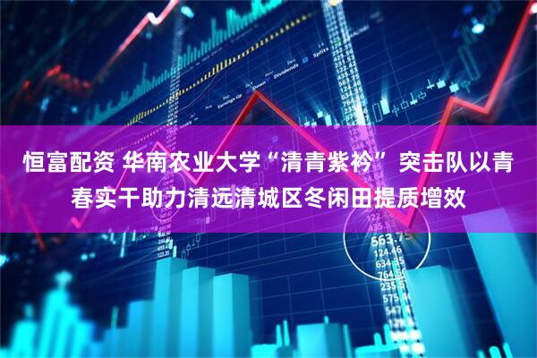 恒富配资 华南农业大学“清青紫衿” 突击队以青春实干助力清远清城区冬闲田提质增效