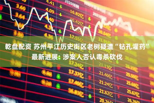 乾盘配资 苏州平江历史街区老树疑遭“钻孔灌药”最新进展: 涉案人否认毒杀砍伐